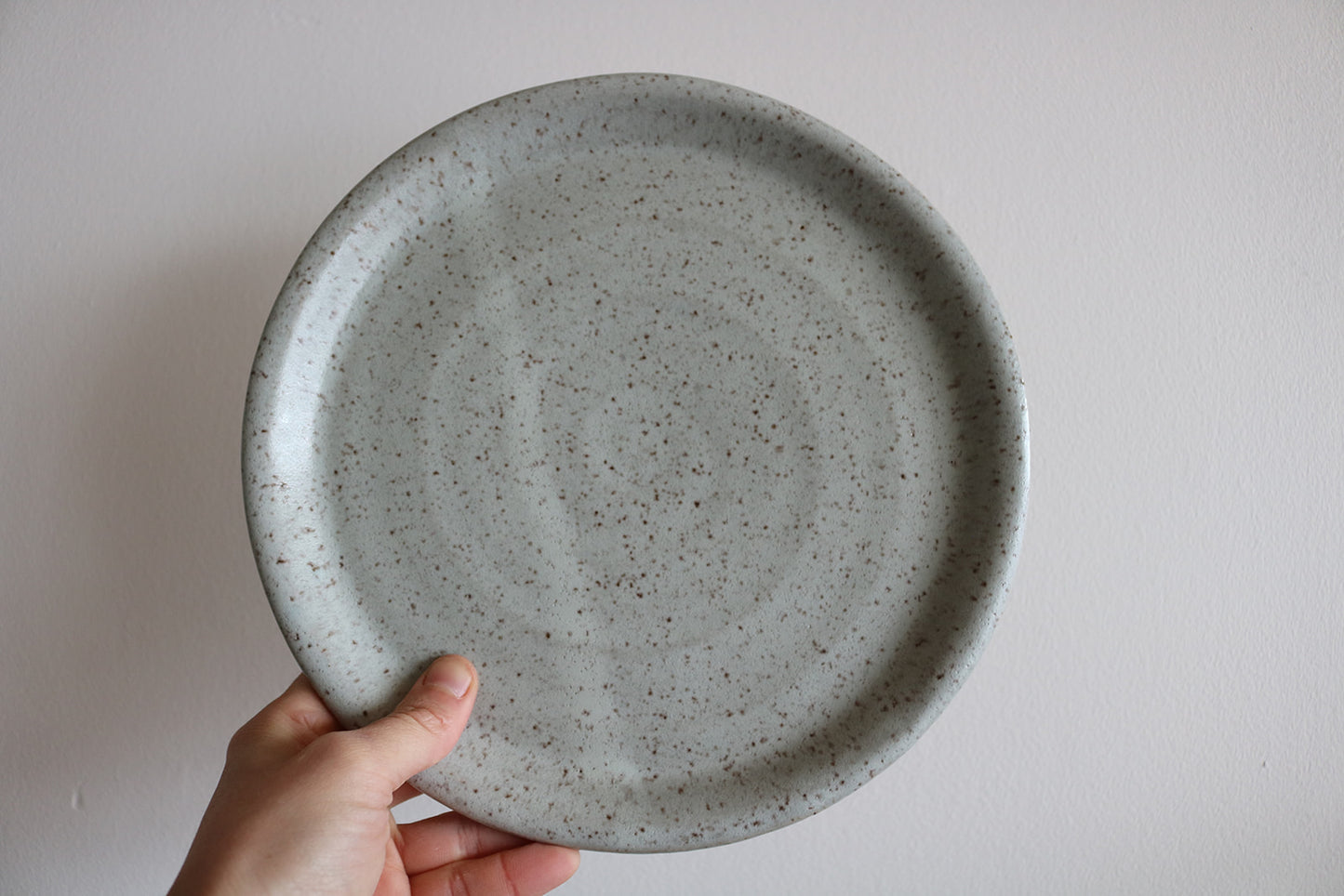 Ready to Ship - Dinner Plate - KJ Pottery 